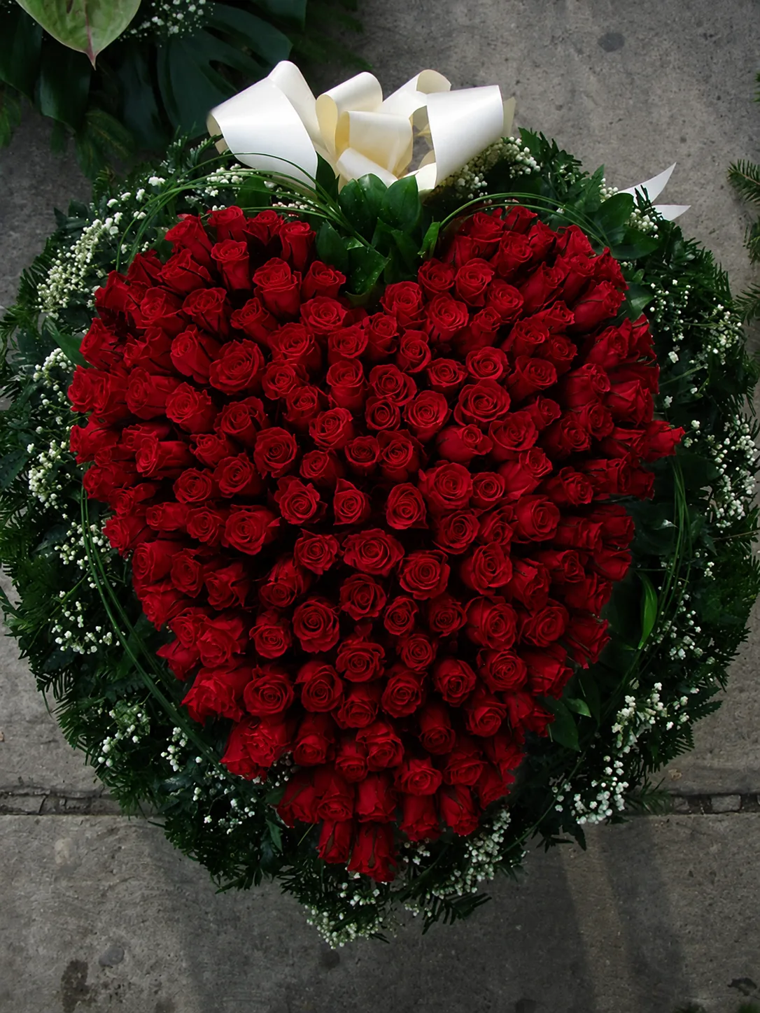 Heart of Red Roses